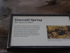 Emerald Spring