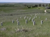 Last Stand Hill