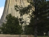 Mule deer peaking at us