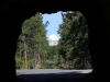 Can see Mt. Rushmore through this tunnel
