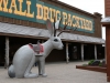 Famous Jackalope at Wall Drugstore