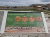 Heavy fossil area