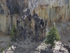 Basalt columns on overhanging cliff well liked by swallows