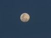 I love being in Kenya during a full moon. The night noises increase a lot and it is easier to see animals in the darkness. This was in Ol Pejeta Conservancy. 