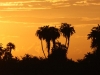Sunset at Amboseli