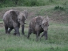 Ellie Playtime at Sweetwaters