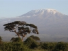 Mt. Kilimanjaro