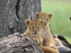 Waiting for Mom