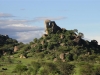 Serengeti Kopjes