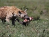 Lunch on the Run