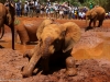 Mud therapy