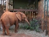 Malkia is growing fast - always a good sign