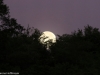 Full moon in the Mara