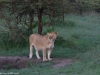 This is Napono, the Offbeat Pride matriarch
