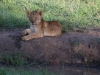 Just chillin