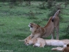 What a great nap