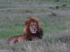 This is Jesse who is Frank's brother