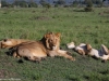 Really?? Some of us are lazier than others.