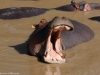 Open wide