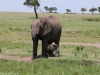 Mom with baby less than a week old