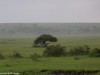 And then the rains came
