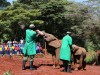 Public visit at Sheldricks. School children love it too.