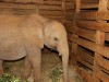 Maktao at the adoptive parent visit