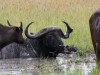 Mud bath time