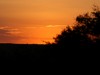 Sunset at Naboisho