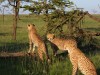 On patrol
