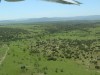 Lush and green