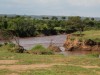 Mara River is normally low and Hippos can stand on the bottom.  Not this time.