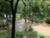 The river behind Offbeat is full, but note the sign from the 2018 rains