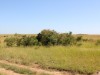 Good place for a 'bush break'