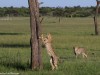 Stretch and scratch