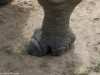 Very interesting feet