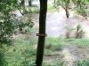 The water level during the flood 2018