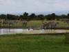 Lots of wildlife visit the waterhole with a fantastic view