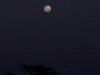 Full Moon in Naboisho Conservancy