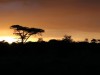 Beautiful sunset
