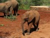 Sweet Bondeni