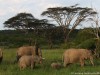 A family on the move