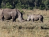 Mom and Youngster - location undisclosed