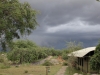 A Storm is a Coming