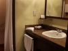 Sink and Shower Area