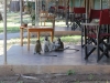 The Welcoming Committee