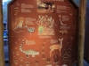 Animals Around the Lodge