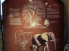 The Giants of Tarangire