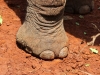 Careful you don't get stepped on
