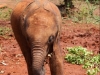 Maktao loves to make friends with everyone